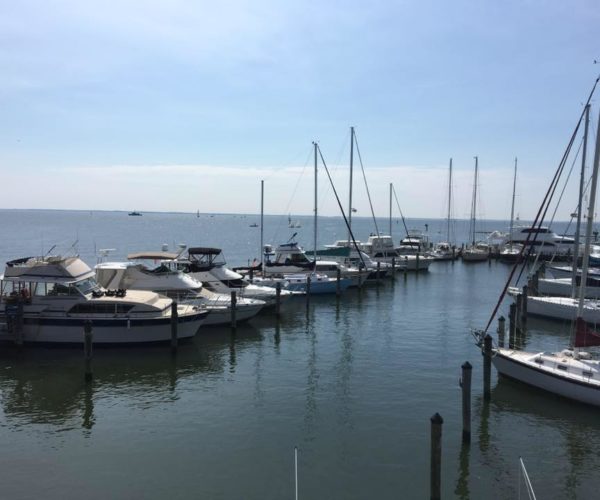 Horn Point Harbor Marina in Downtown Annapolis