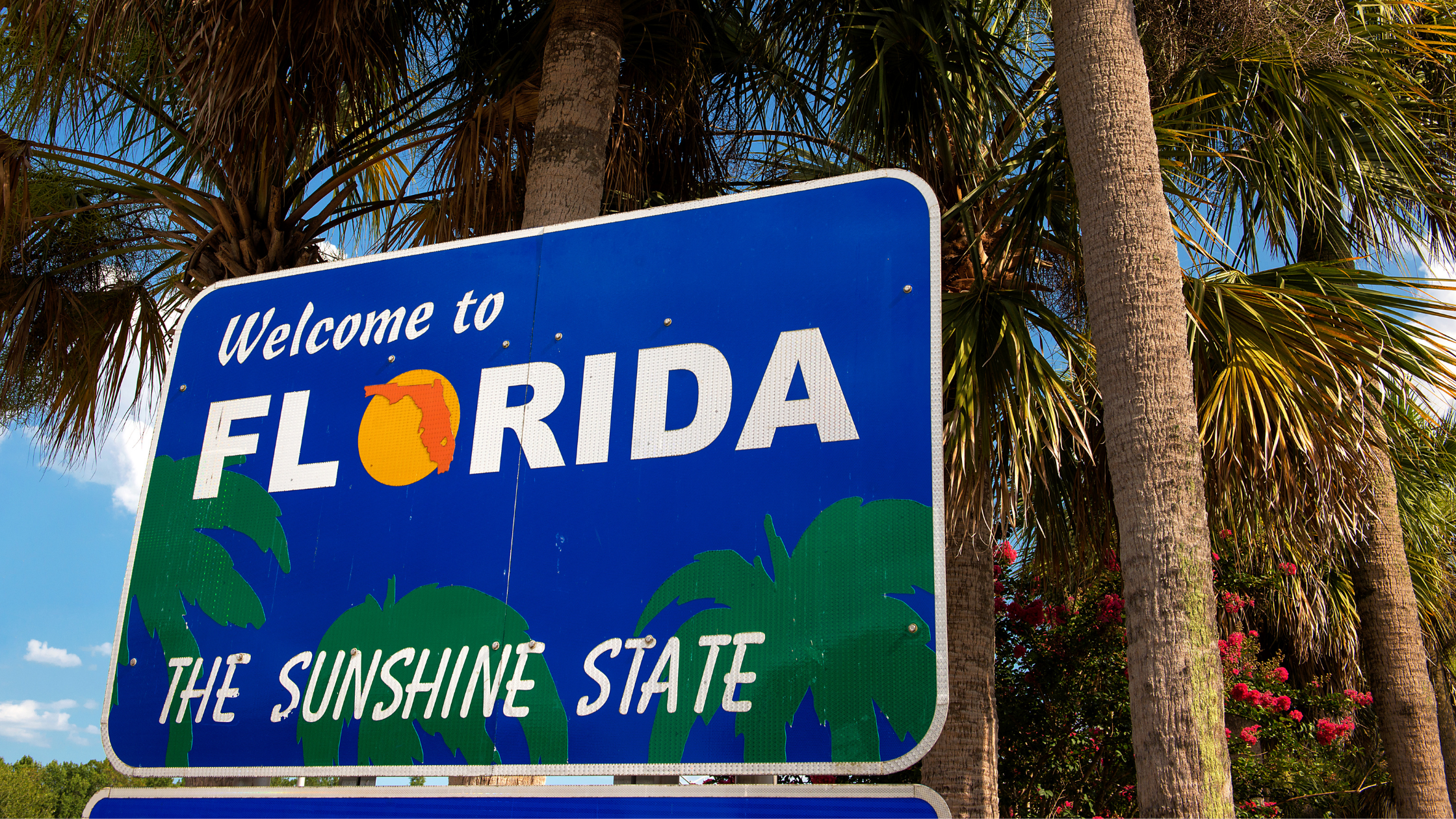 Travel Florida's East Coast - Snag-A-Slip - Blog