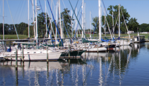 View of Boats in Water - Olverson's Lodge Creek Marina - Virginia