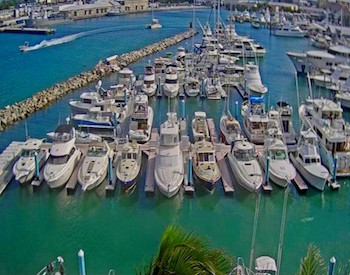 The Galleon Marina | swimming with sharks | Snag-A-Slip