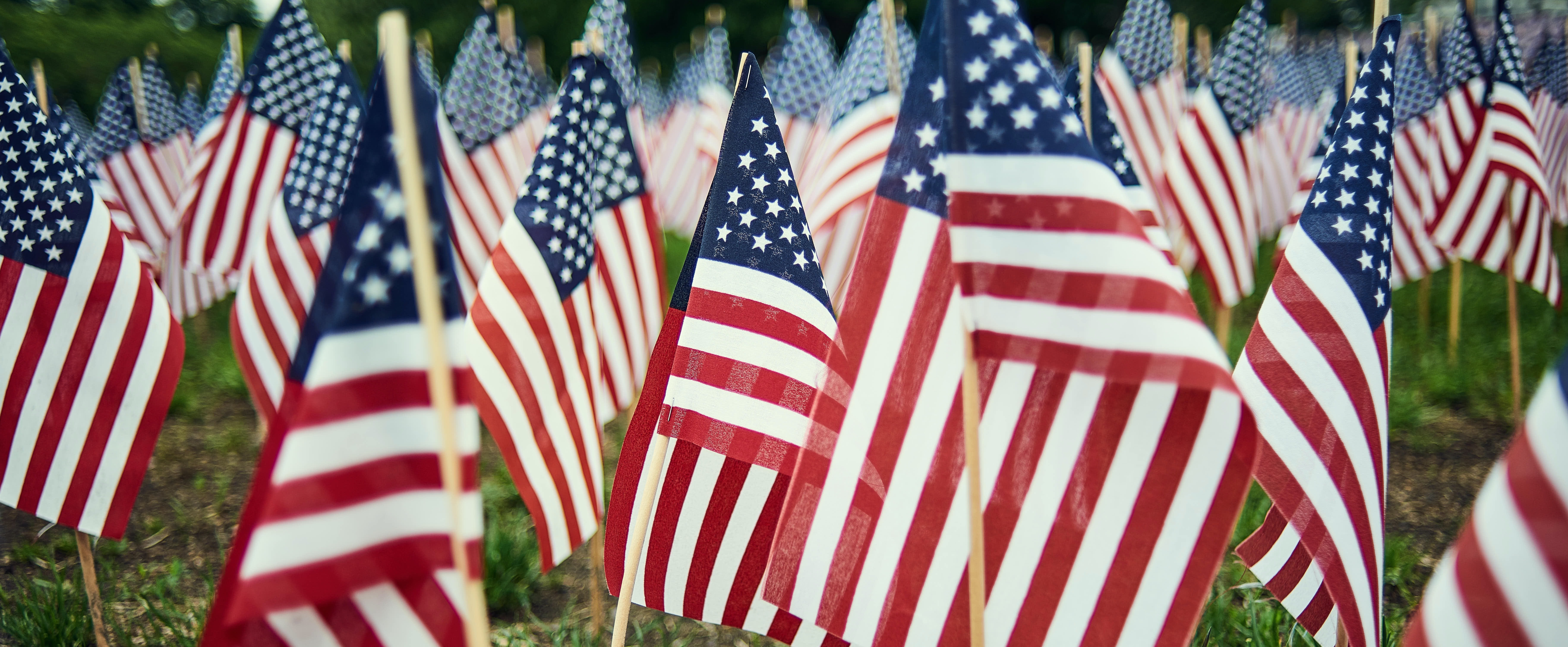 American Flags Photo by Valentino Funghi on Unsplash | Virtual Memorial Day | Snag-A-Slip